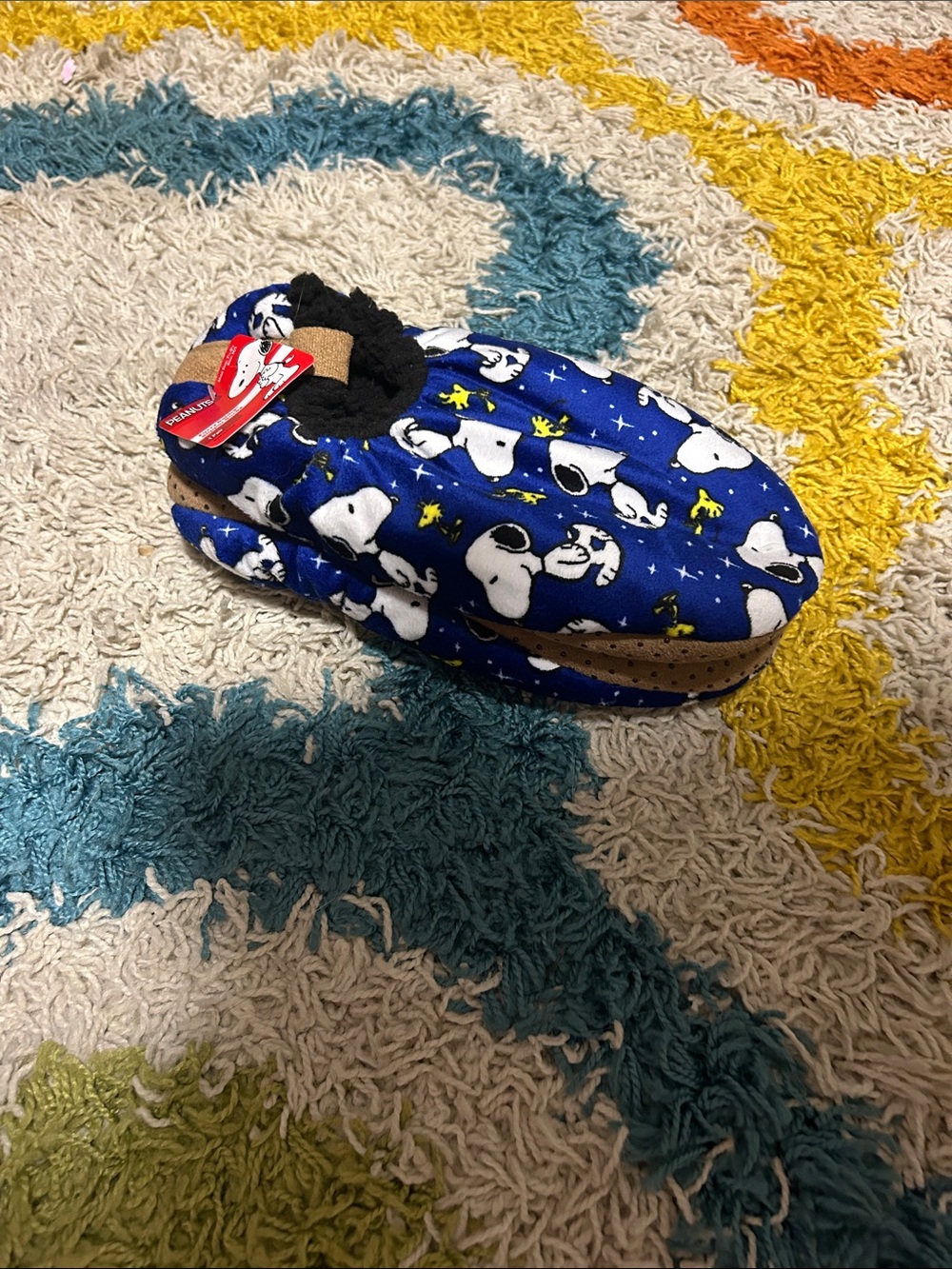 Blue Snoopy Print Women's Slip-On House Shoes